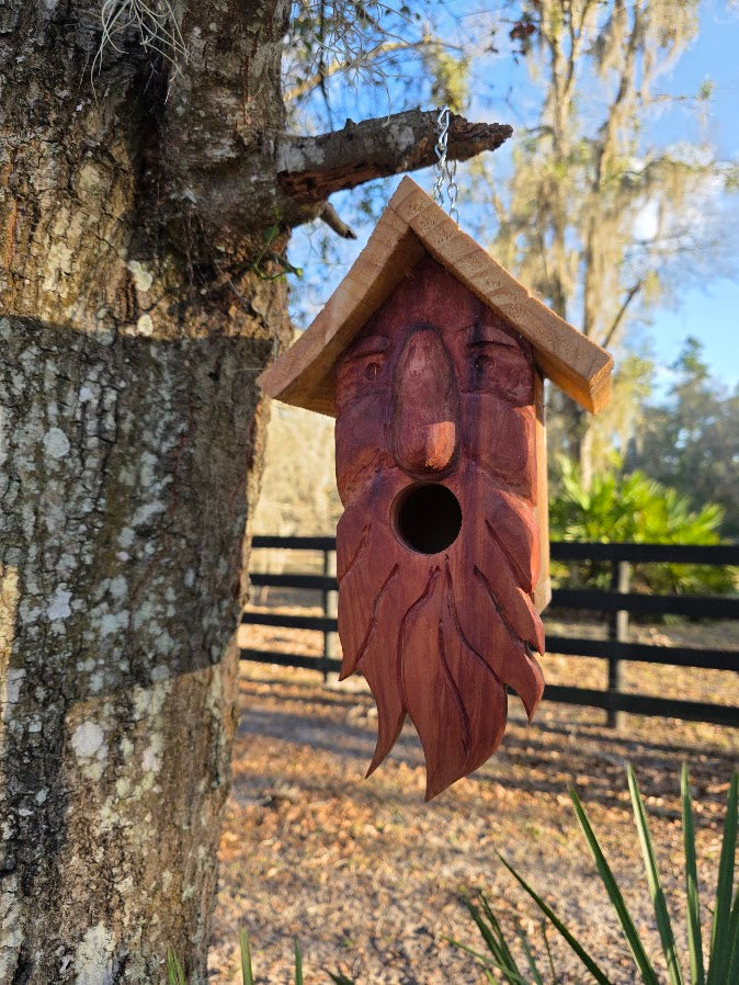 Spirited Birdhouses
