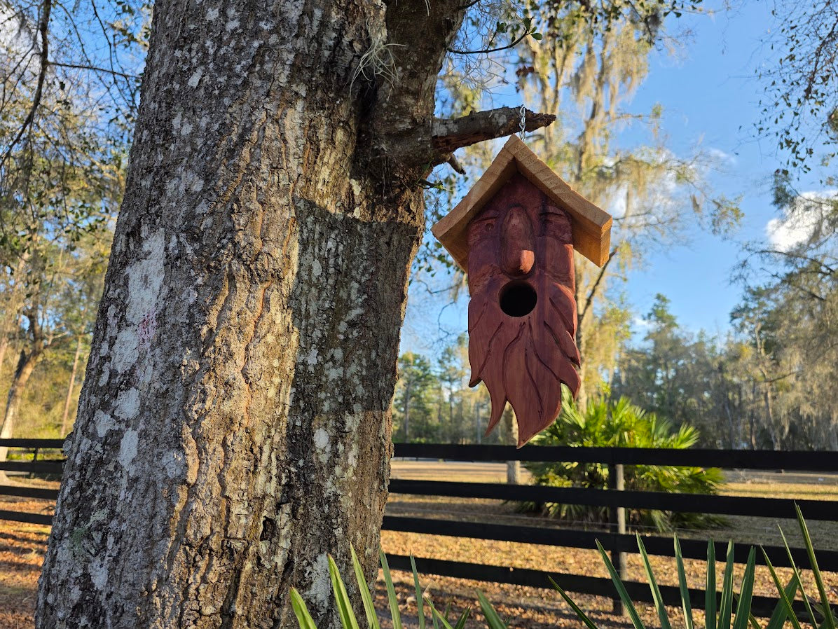Spirited Birdhouses