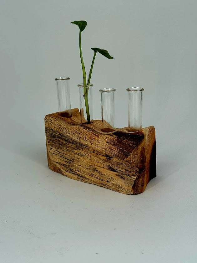 Propagation Stations
