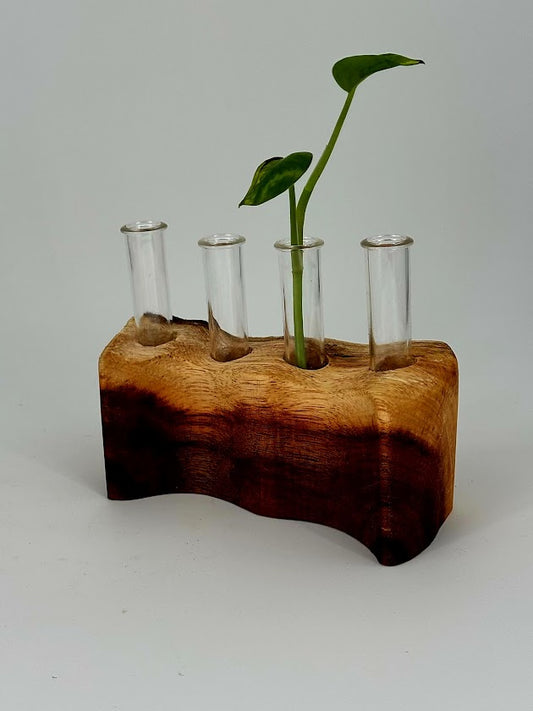 Propagation Stations