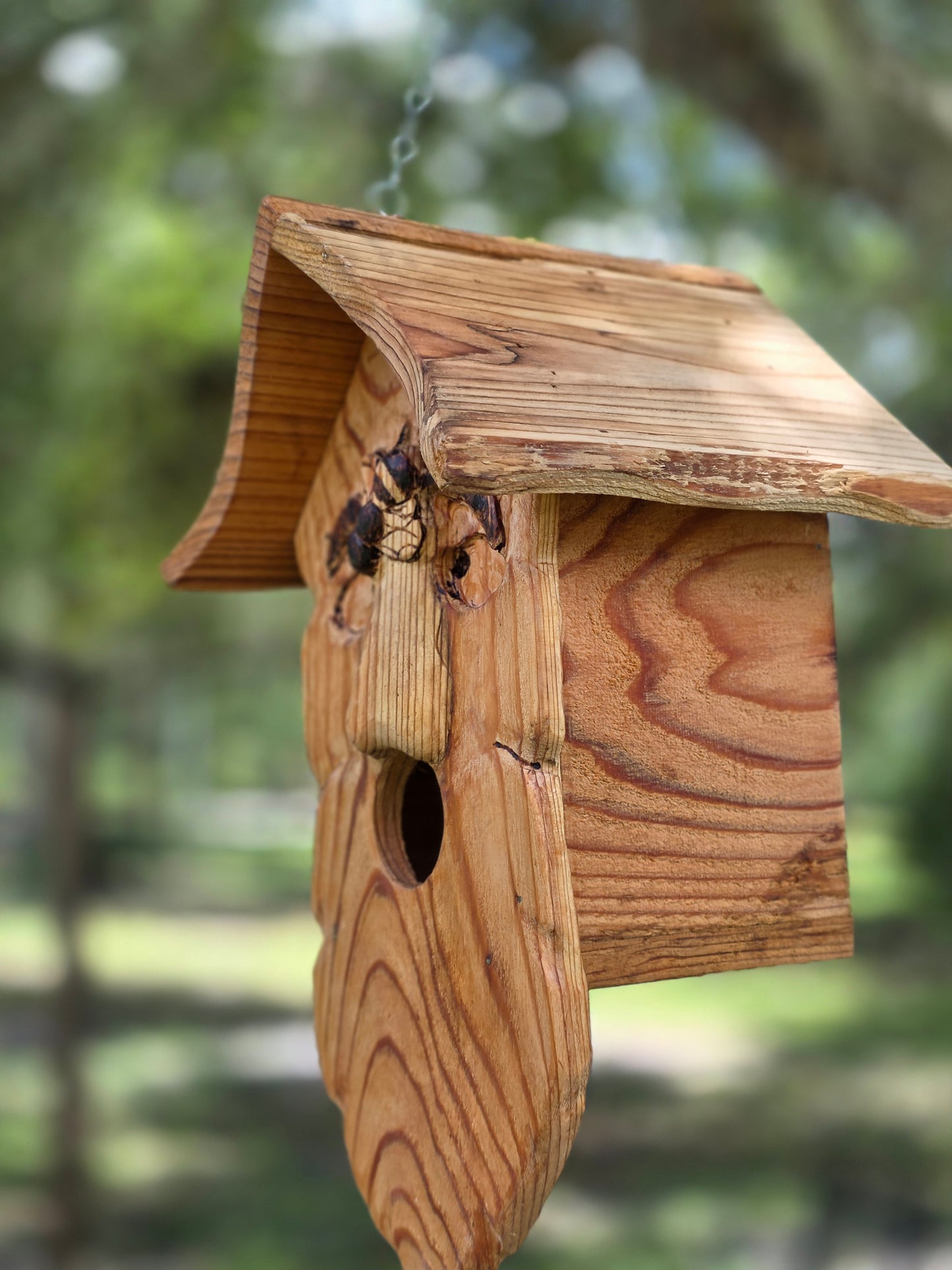 Buzz, a spirited birdhouse