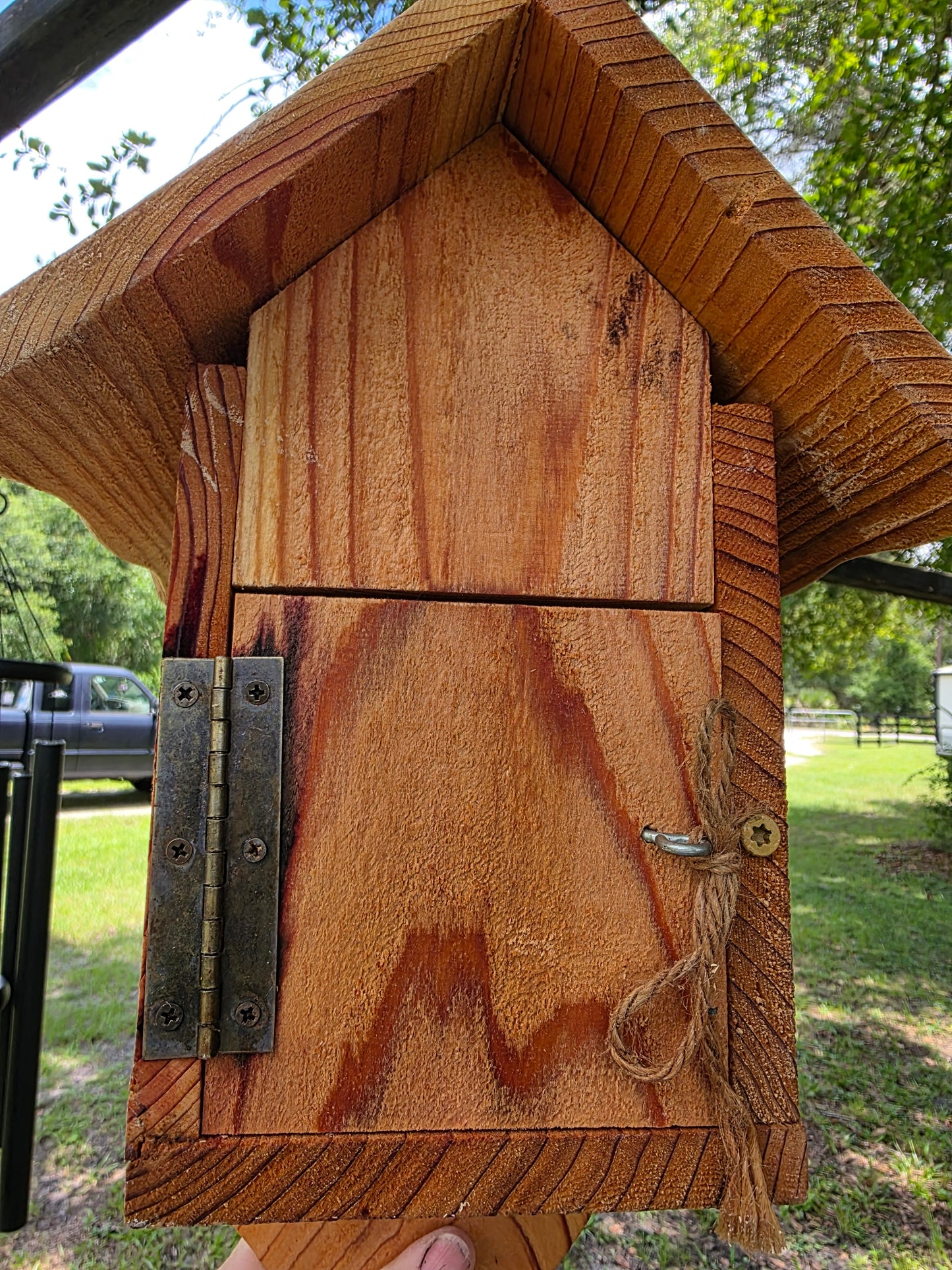 Buzz, a spirited birdhouse