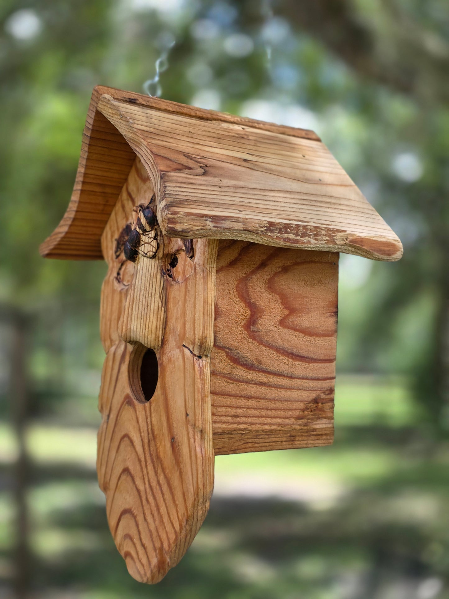 Buzz, a spirited birdhouse