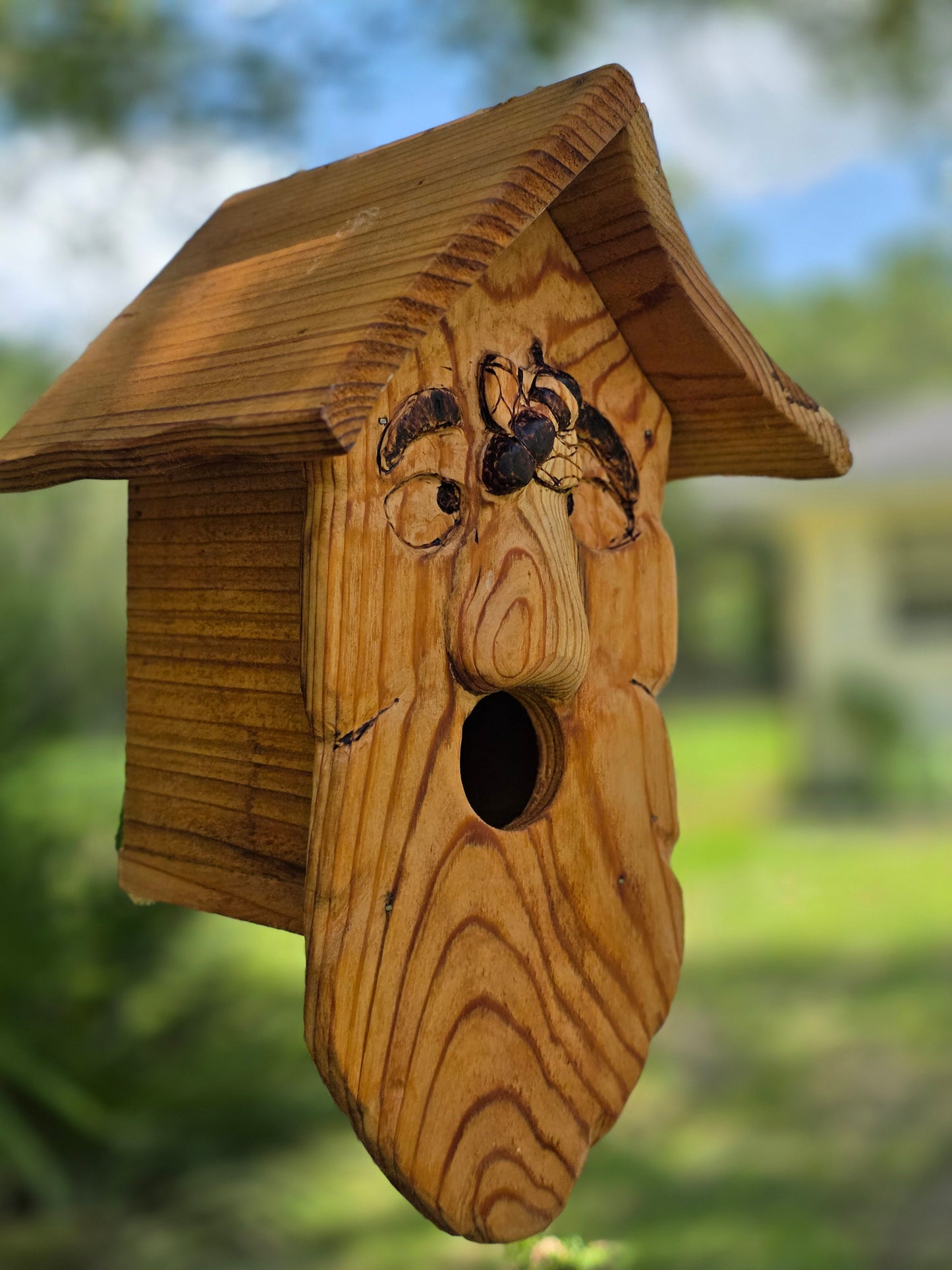 Buzz, a spirited birdhouse