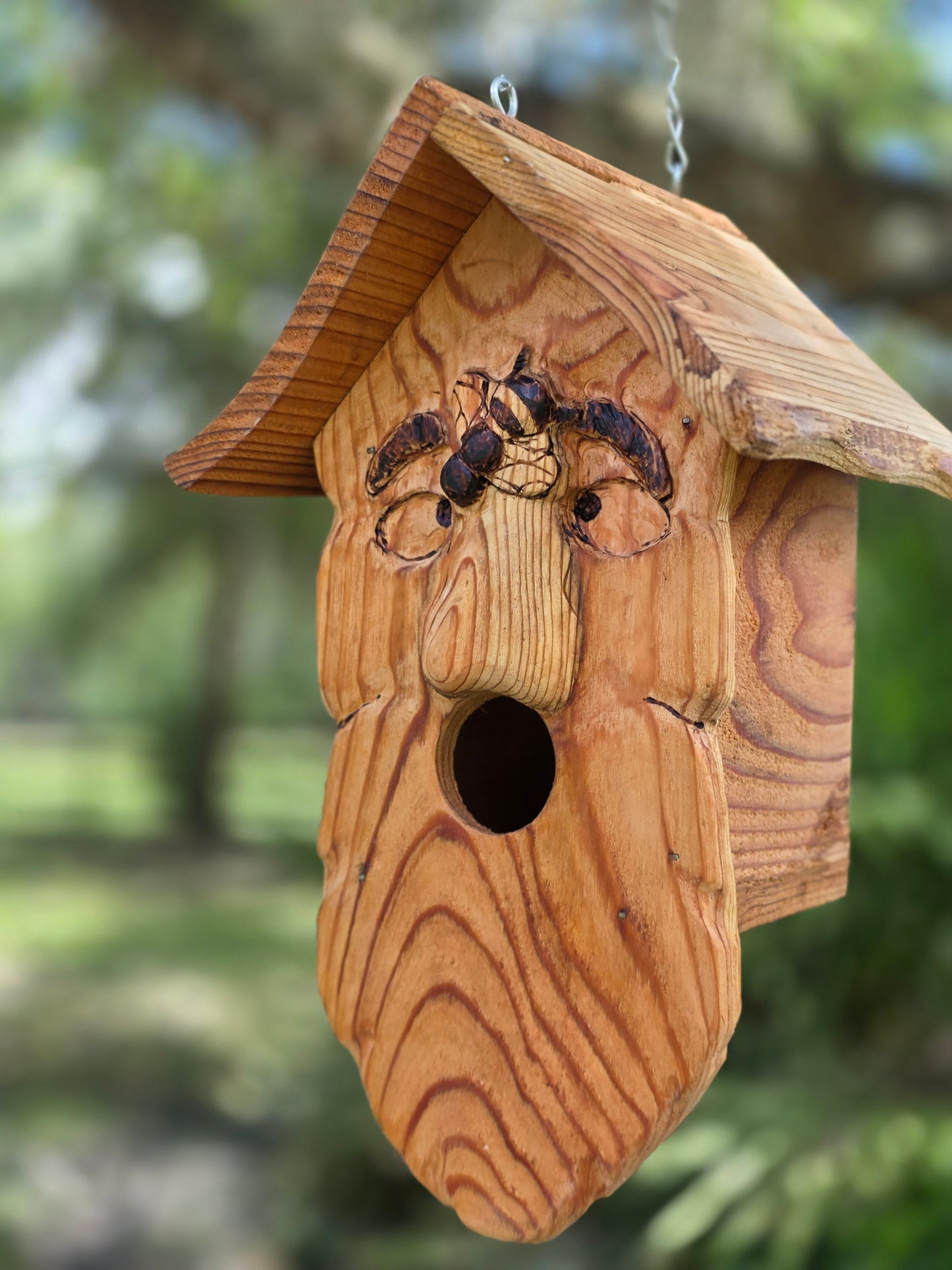Buzz, a spirited birdhouse